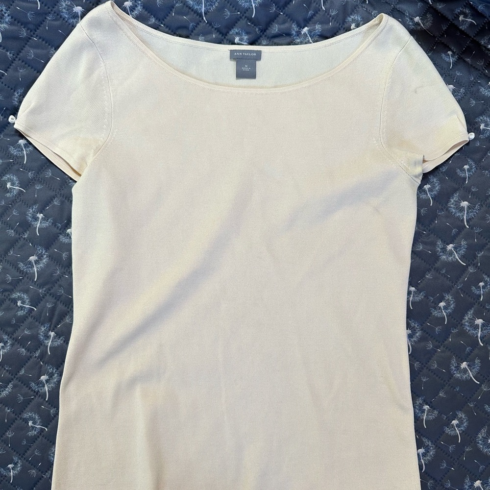 Silk Ann Taylor shirt